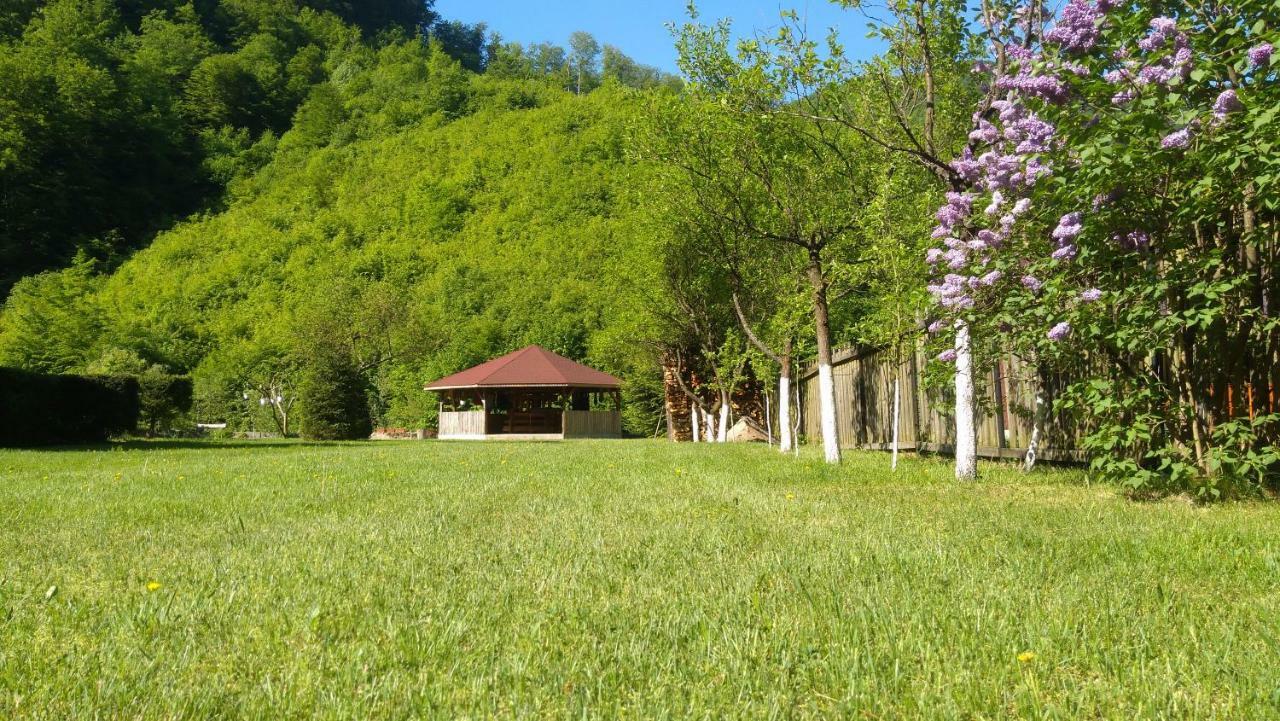 Pensiunea Poarta Raiului Cugir Zewnętrze zdjęcie